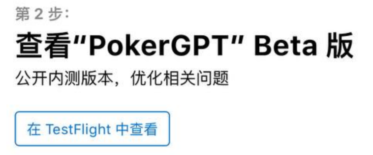 PokerGPT安装界面